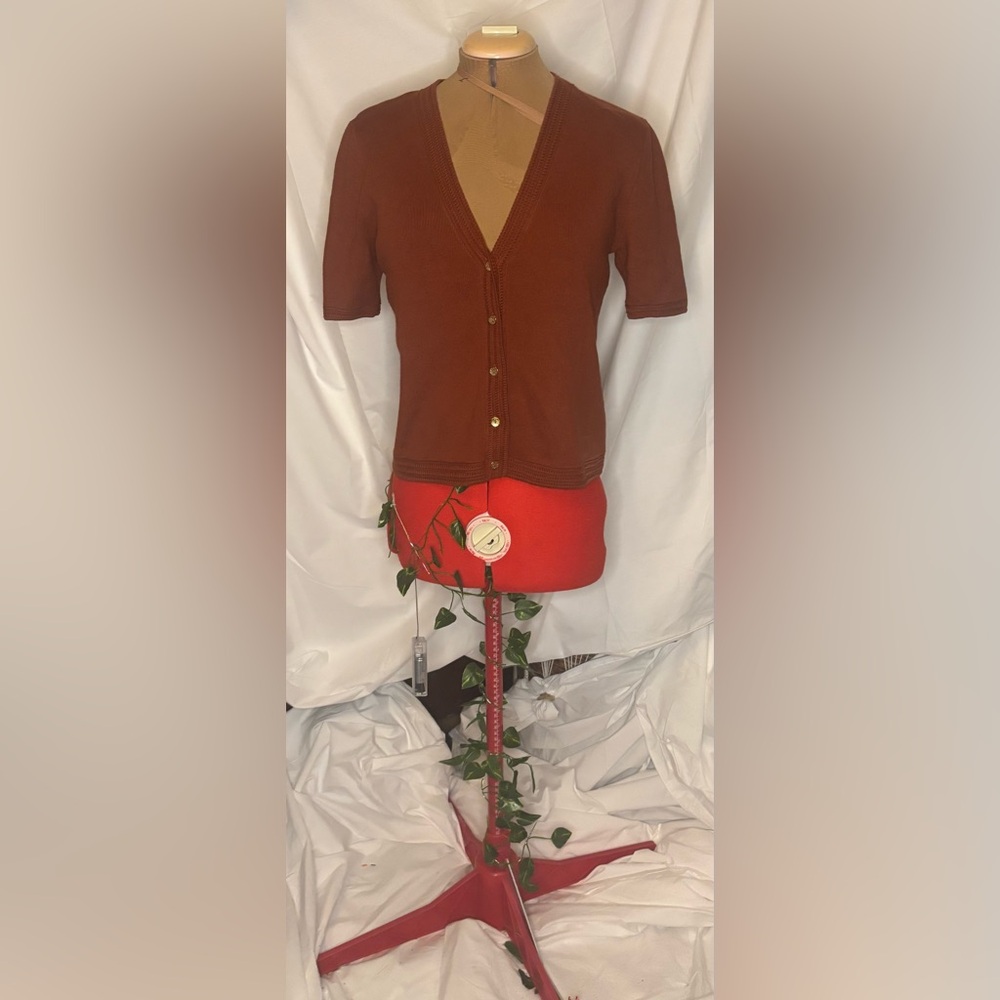 Joie Rust Knit Sweater